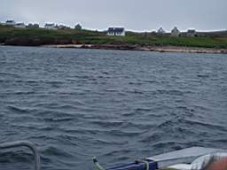 Gola Iseland 1755.jpg